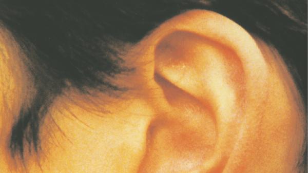 Was unsere Ohren alles können